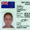 NZ Driver Licence
